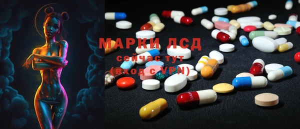 PSILOCYBIN Верхний Тагил