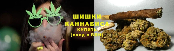 PSILOCYBIN Верхний Тагил