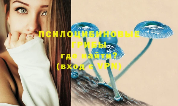 дурь Верея