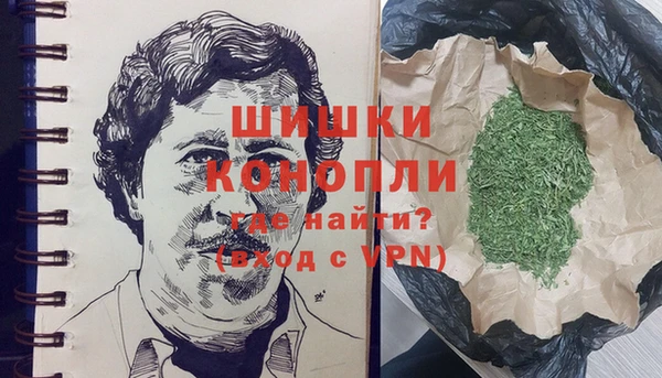 PSILOCYBIN Верхний Тагил